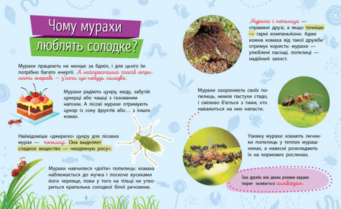 Perché sei così carino? Insetti